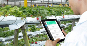 Agricultura inteligente con IoT Beyond Connectivity