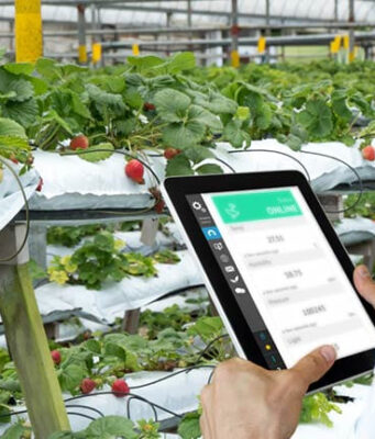 Agricultura inteligente con IoT Beyond Connectivity