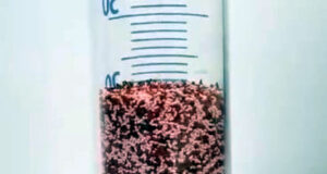 Super Small Pellet para la mejora en la industria del plástico